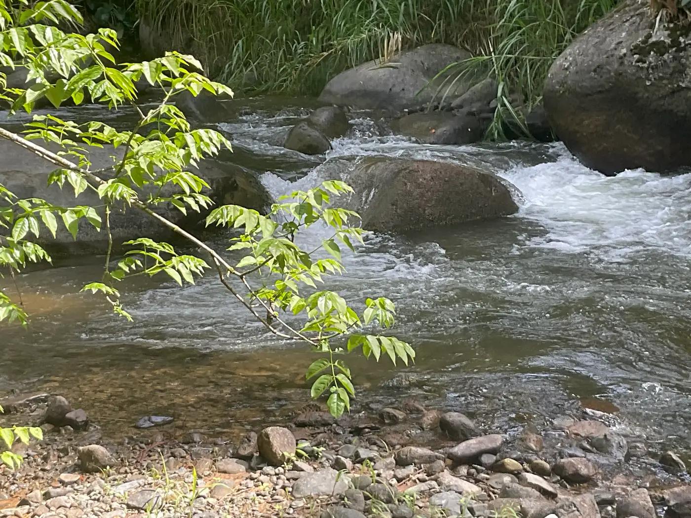 River running through the Chirripó landscape